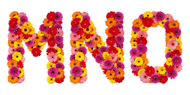 istock Letter M N O - flower alphabet isolated on white 177109743