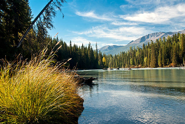 istock China Xinjiang landscape, 177109888