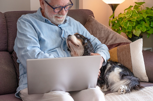 Senior man stops using laptop computer exchanging cuddles with his cavalier king Charles dog sitting together on home sofa. Pet therapy and best friend concept