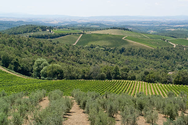 istock Chianti in Tuscany 177110214