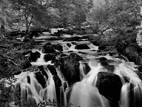 Long exposure river flowing over rocks against trees