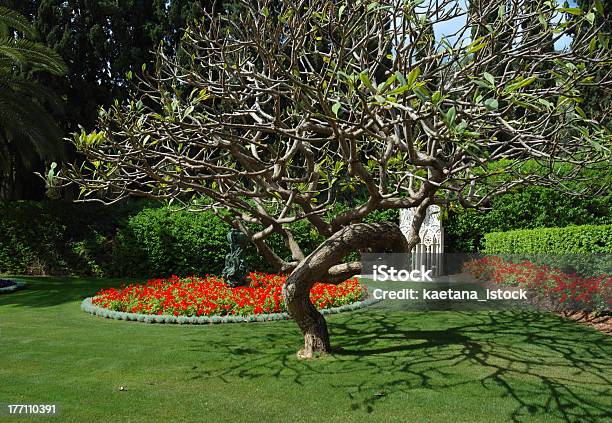 Bahai Temple Gärten Haifa Israel Stockfoto und mehr Bilder von Asiatische Kultur - Asiatische Kultur, Asiatischer und Indischer Abstammung, Baum