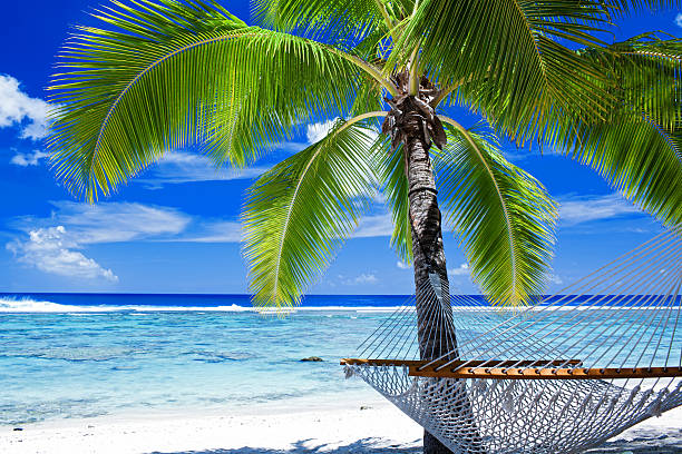 istock Clear ocean with a white beach and a hammock on a palm tree 177111518