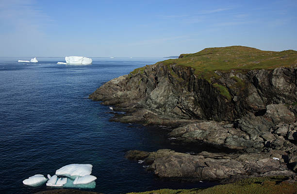 istock Coastline of Goose Cove 177113268
