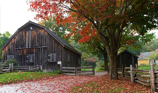 istock Picturesque old barn and shed with bright red fallen leaves 177113613