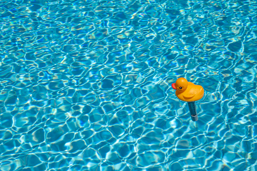 Yellow duck funny thermometer in swimming pool