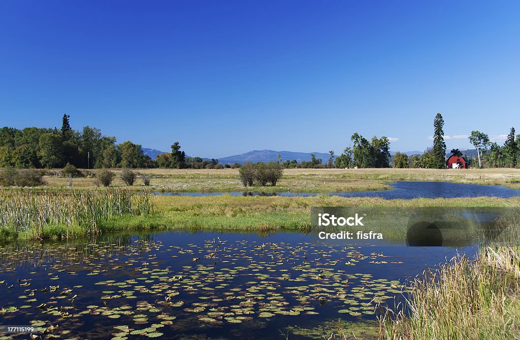 Lakeland in Montana, USA "Lakeland in Montana, USA" Blue Stock Photo