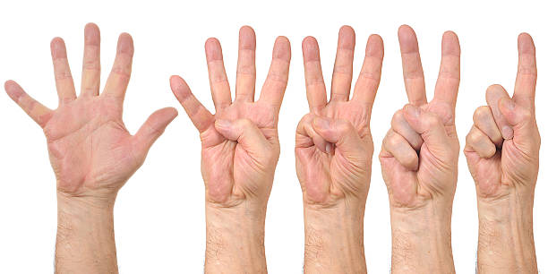 Male hands counting stock photo