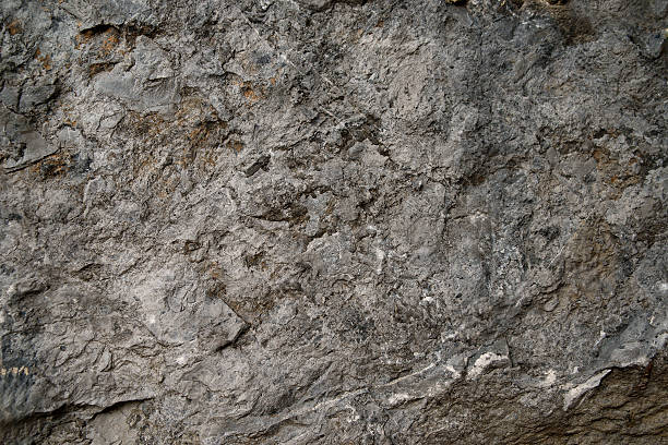 sezione trasversale del rock - roccia sedimentaria foto e immagini stock