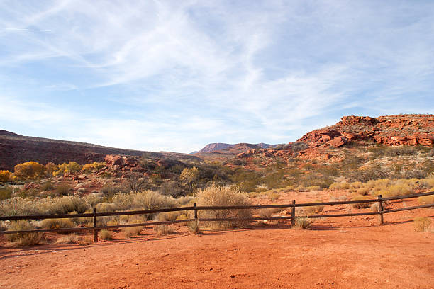 istock Don't fence me in 177116314
