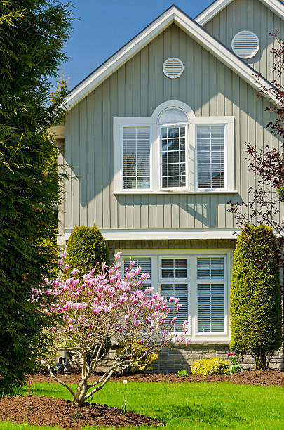 istock A luxury house with a small tree with pink leaves 177116336