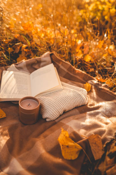 istock Candle and open book in nature, autumn concept 1771169152