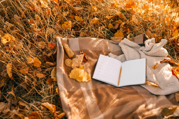 istock Paper planner on blanket outdoors, autumn concept 1771169215