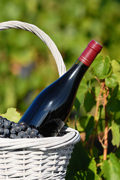 istock bottle of red wine 177117101