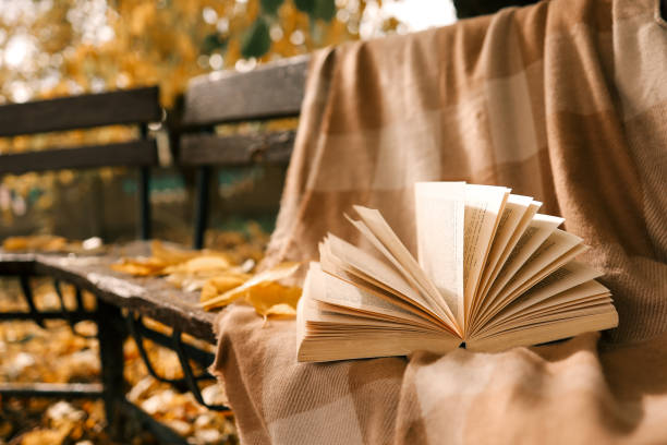 istock Candle and open book in nature, autumn concept 1771174357
