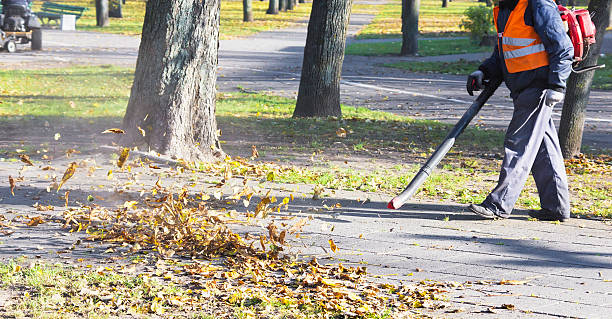 istock Worker cleans the street from  autumn leaves 177117958