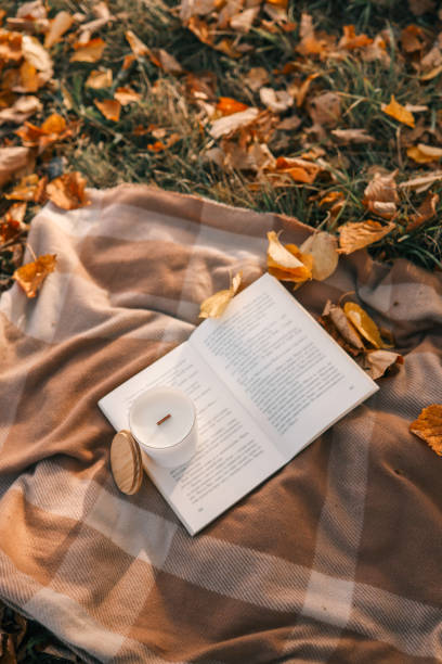 istock Candle and open book outdoors, concept of privacy and tranquility 1771183697
