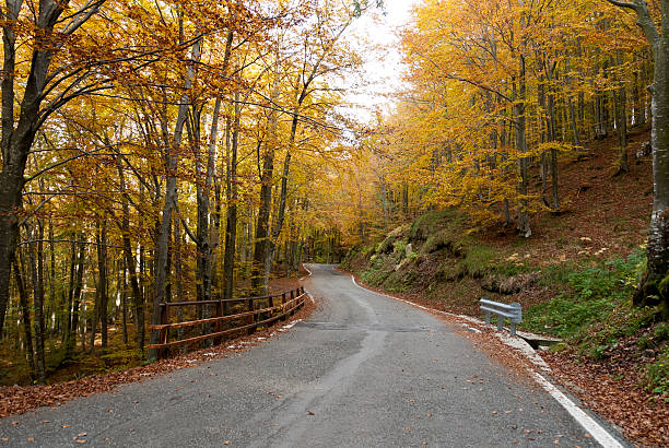 istock road in the autumn 177118642