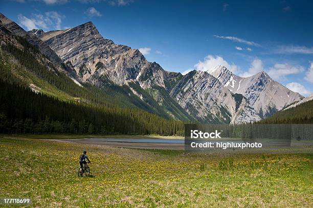 Mountain Biker Crosses Meadow Stock Photo - Download Image Now - Jasper - Canada, Cycling, Mountain Biking