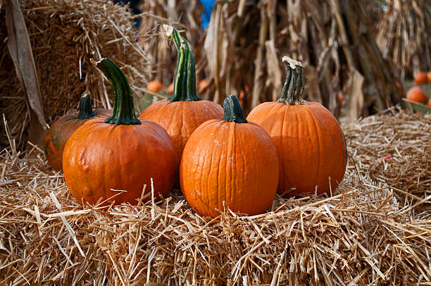 Small pumpkins on hay bale at farmers market
