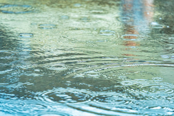 istock Rain drops on the surface of the water forming ripples 1771189203