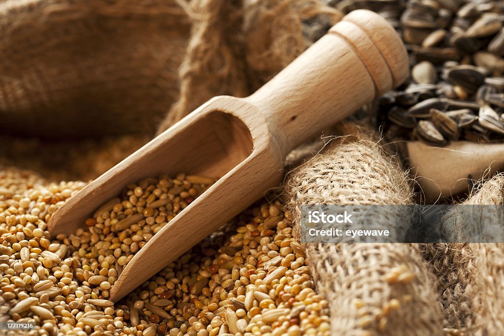 Pá em grãos - Foto de stock de Agricultura royalty-free