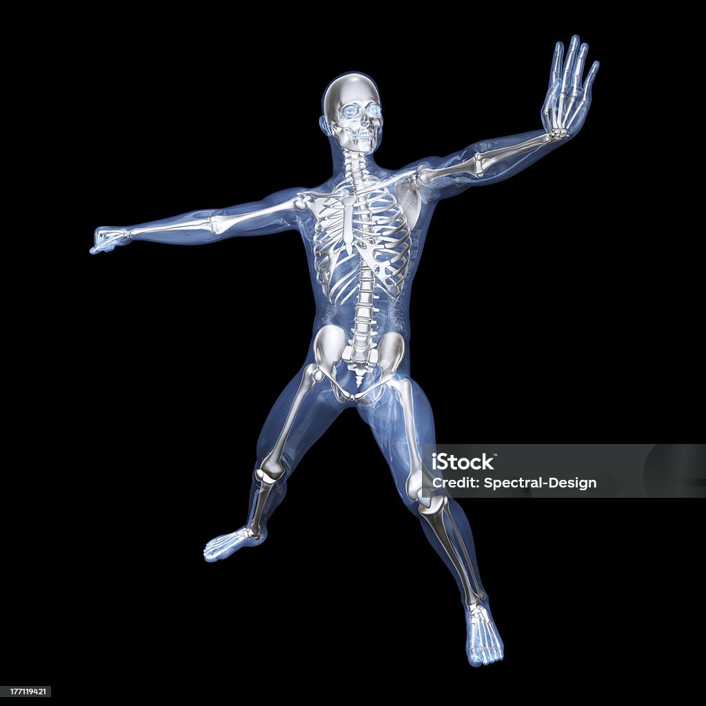 Anatomia-Arti marziali - Foto stock royalty-free di Anatomia umana