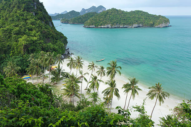 tropikalnej wyspa beach - ang thong islands zdjęcia i obrazy z banku zdjęć