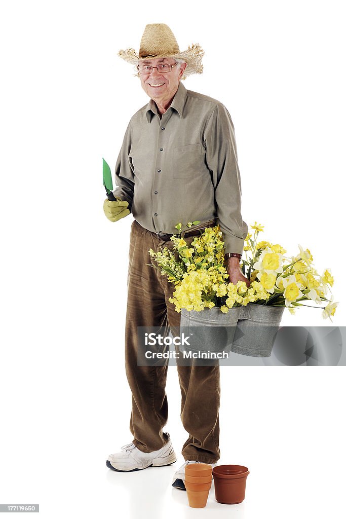 Senior Jardinier - Photo de Fond blanc libre de droits