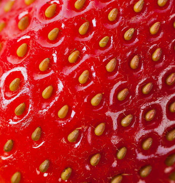 istock Extreme macro of strawberry 177120289