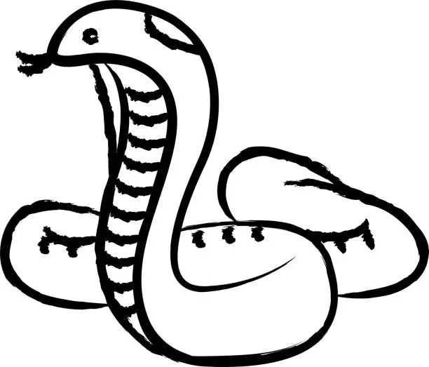 Vector illustration of Cobra hand drawn vector illustration