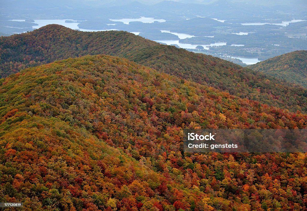 Appalachian autunno. - Foto stock royalty-free di Albero