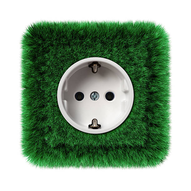 socket covered with green grass stock photo