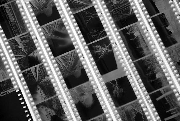 photo contact Sheet "photo contact Sheet,Negative" negative image technique photos stock pictures, royalty-free photos & images
