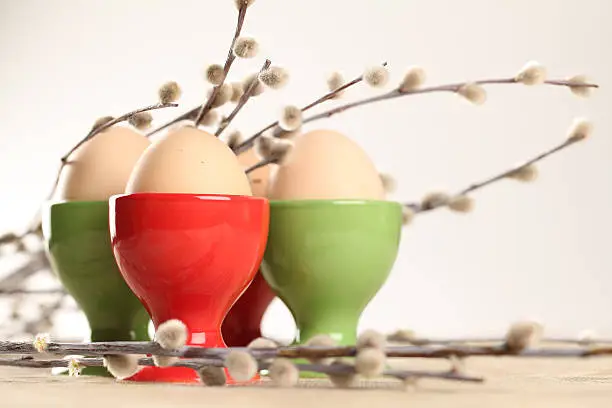 Eggs in red and green eggcups with catkins.