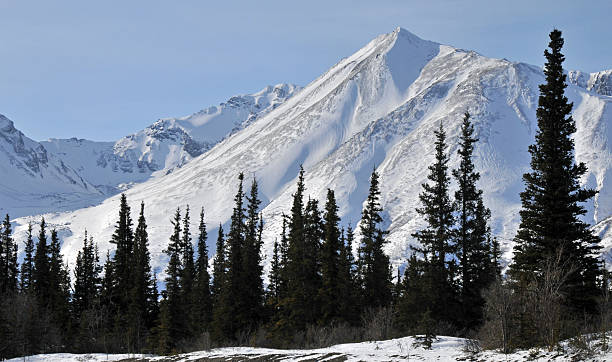 istock Alaskan taiga, Alaska Range, USA 177122575