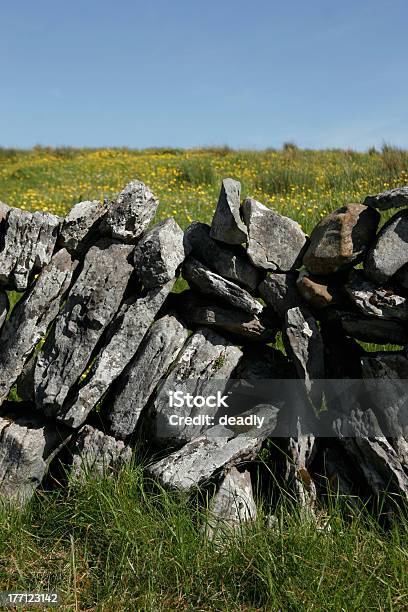 Pared De Piedra El Burren Vías Clare Irlanda Foto de stock y más banco de imágenes de Doolin - Doolin, Agricultura, Calle