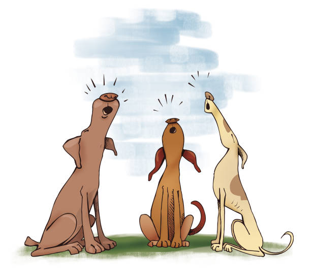 three howling dogs "Humorous illustration of three howling dogsI, Igor Zakowski, hereby confirm I am the creator of this illustration and all copyrights holder" barking animal sound stock illustrations