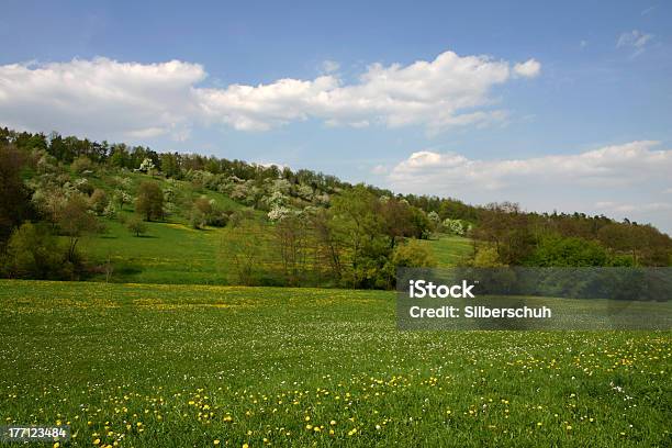 Merry Mês De Maio - Fotografias de stock e mais imagens de Agricultura - Agricultura, Alemanha, Amarelo