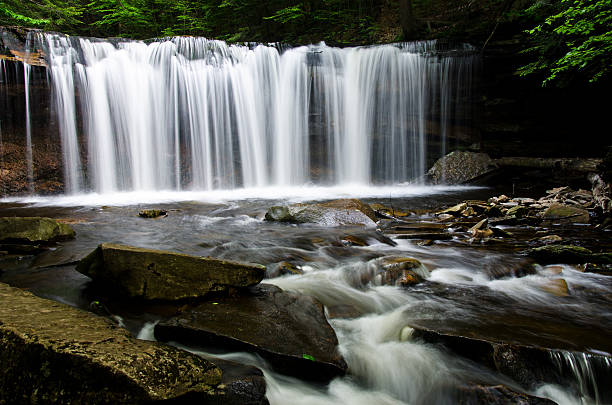 cascade dans la forêt. - oneida photos et images de collection