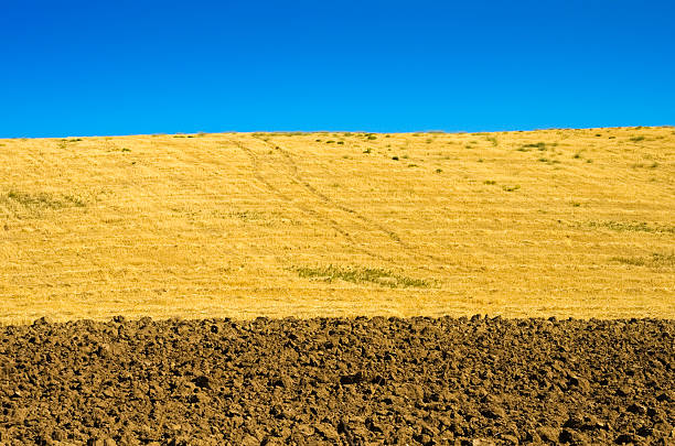 tres rayas de colores en basilicata paisaje - sharecropper fotografías e imágenes de stock