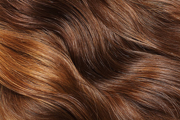 волосы - brown hair стоковые фото и изображения