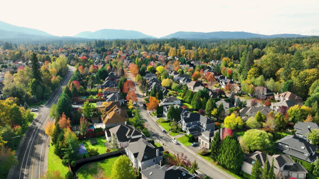 Aerial View of Neighborhood in Fall
