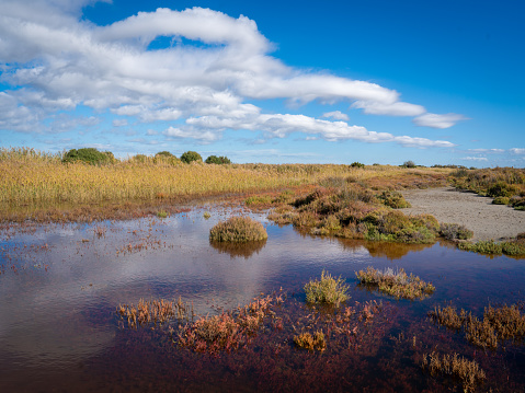 Nature landscape in the Netherlands