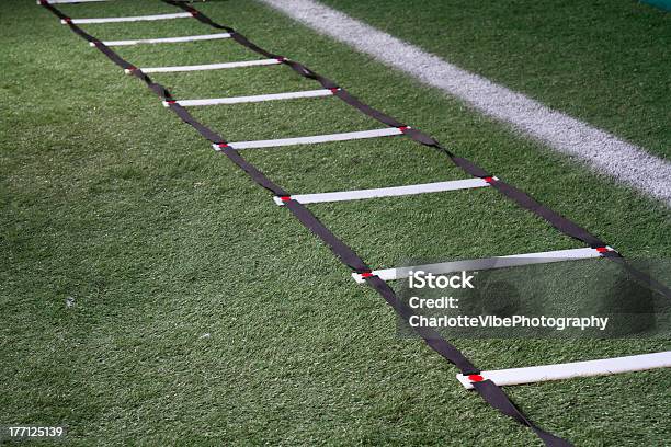 Agility Training Ladder Stock Photo - Download Image Now - Agility, Ladder, Exercising