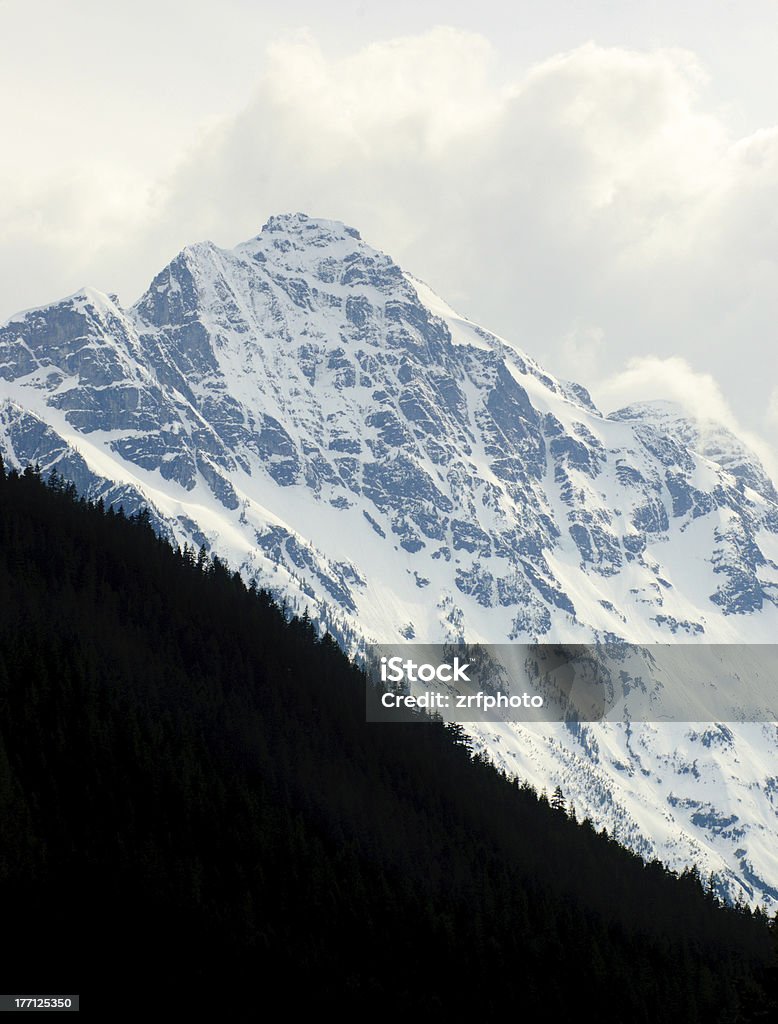 Neige sommets enneigés et la forêt - Photo de Arbre libre de droits