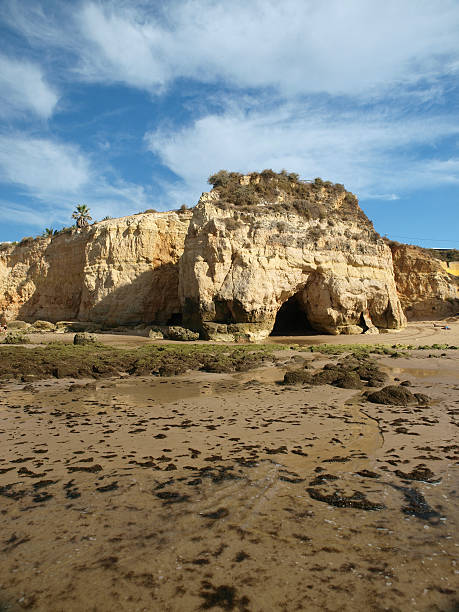 istock Algarve coast at low tide the ocean 177125531