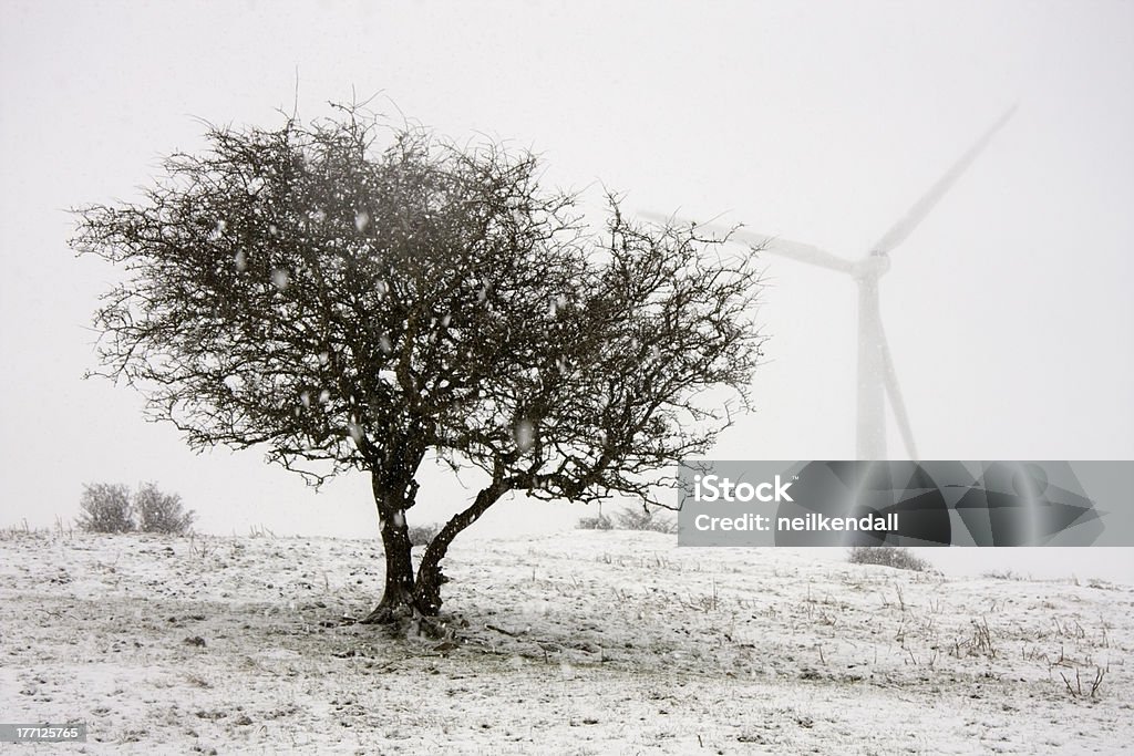 Nieve Ventisca - Foto de stock de Nieve libre de derechos