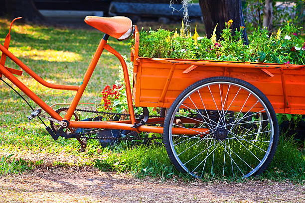 istock Flowers on a Tricycle 177126507