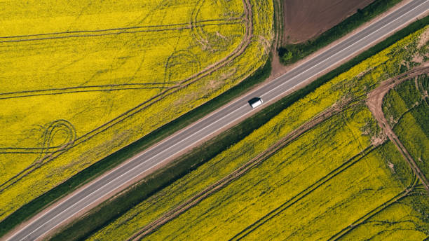 istock Drone shot of farm field 1771265471